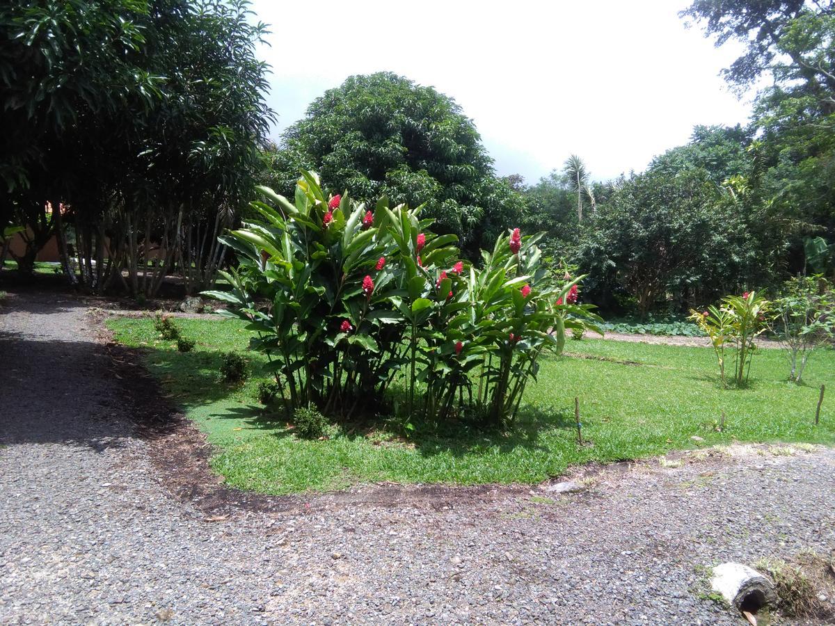Paraiso Volcano Lodge Guayabo (Guanacaste) Exterior foto